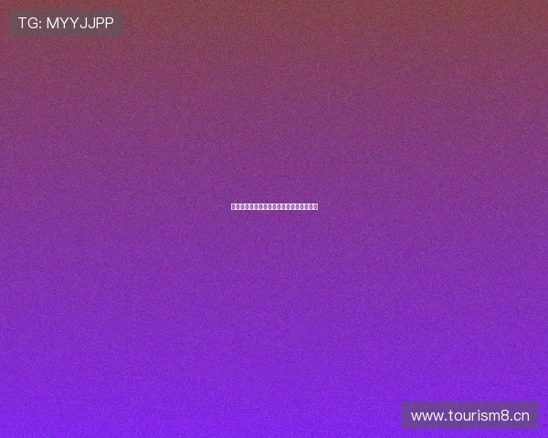 新英体育网最新收费标准及会员权益全解析